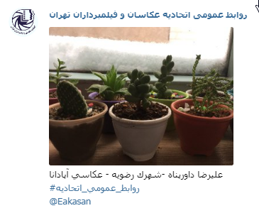 عکاسی آپادانا علیرضا داور پناه جشنواره عکس زمستانی 1396 اتحادیه عکاسان و فیلمبرداران تهران