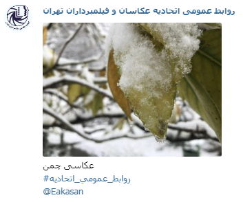 عکاسی چمن جشنواره عکس زمستانی 1396 اتحادیه عکاسان و فیلمبرداران تهران